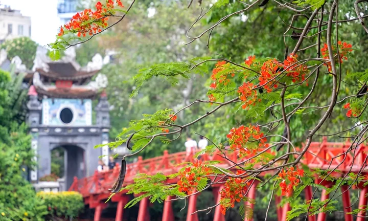 Ha Noi 19
