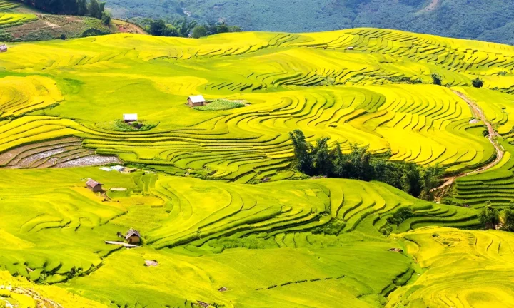 Sapa 5