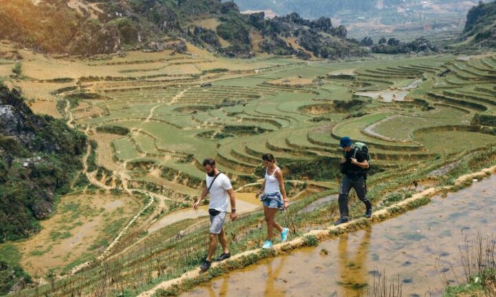Sapa