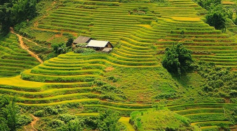 Sapa