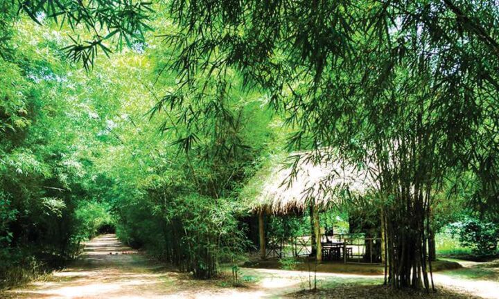 Cu Chi Tunnels