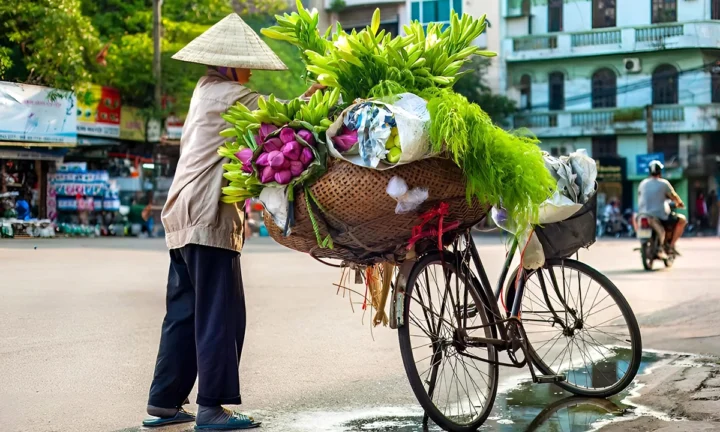 Ha Noi 25