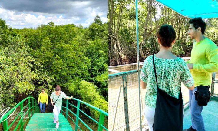 Can Gio National Park Discovery Tour