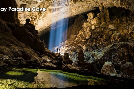 Vn G P Cave