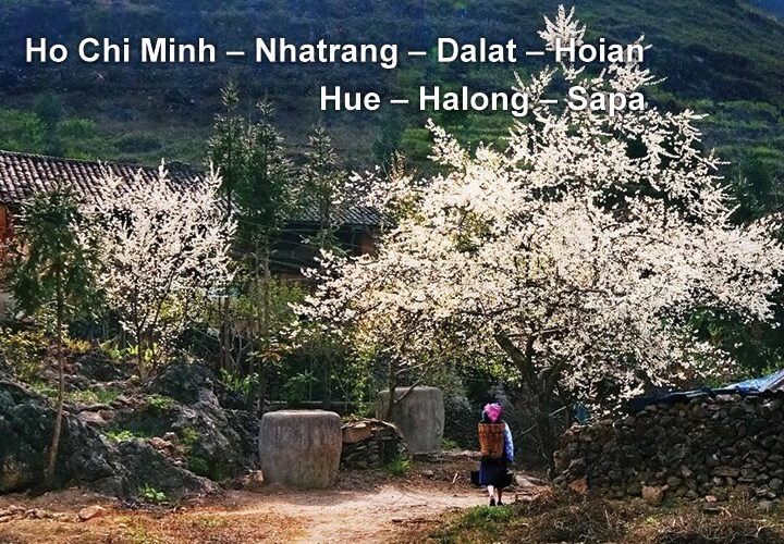 Pa Tour – Hue – Halong – Sapa