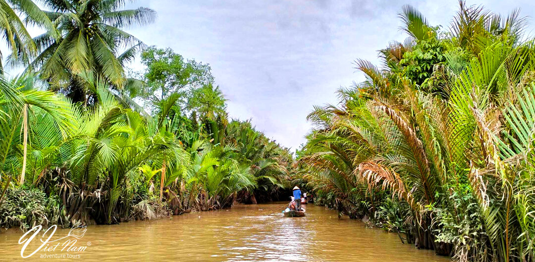 Delta Mekong Vietnam