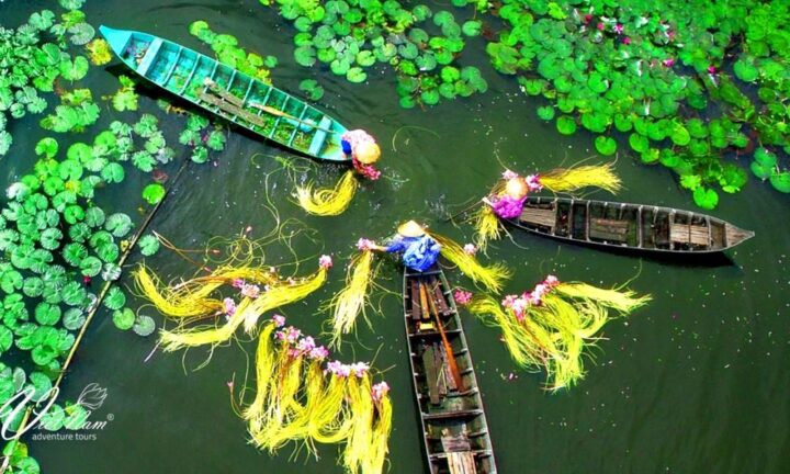 ho chi minh to mekong delta distance