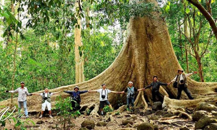 2Day - 1 Night Cat Tien National Park