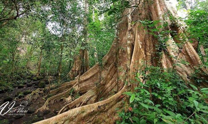 3Days - 2Nights Ecological Trail - Night Safari
