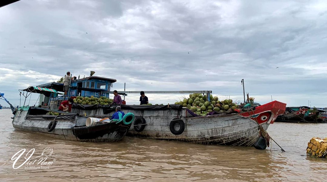 mekong delta tour from ho chi minh