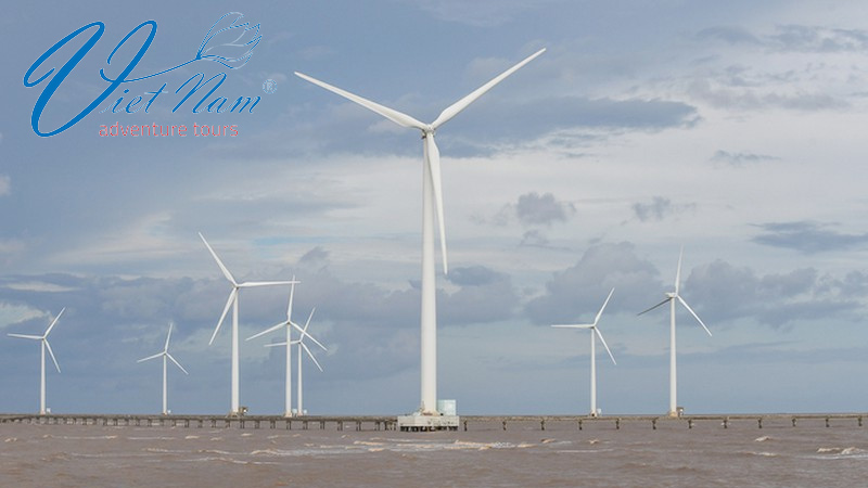 Exploring unique offshore wind farm in Bac Lieu