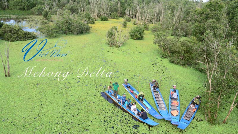 Mekong tours will give you the simplest pleasures