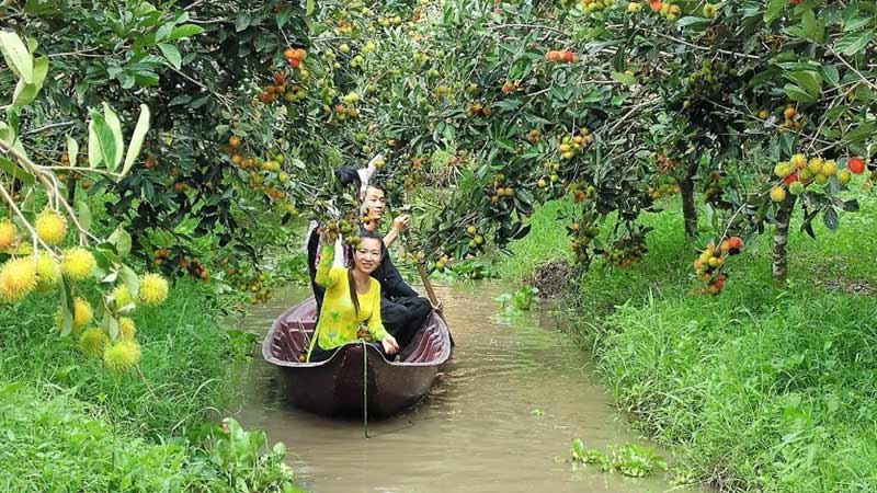 Vast tropical fruit garden in Can Tho